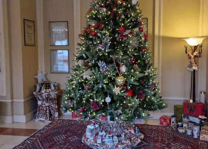 Du Parc - Centre Mulhouse